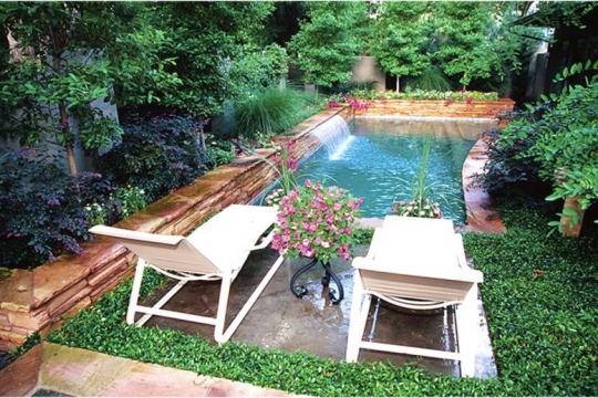 Trends and Ideas for an Eco-Friendly Back Yard