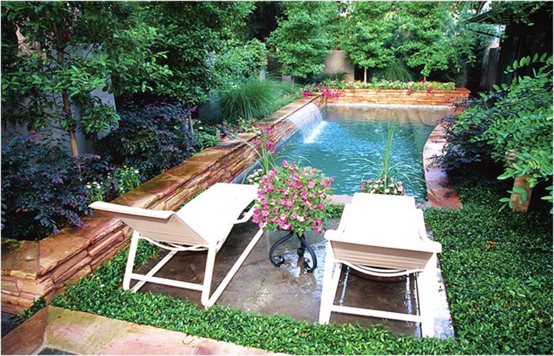 Trends and Ideas for an Eco-Friendly Back Yard