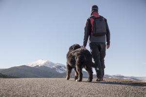 Travels With (and Without) Your Dog